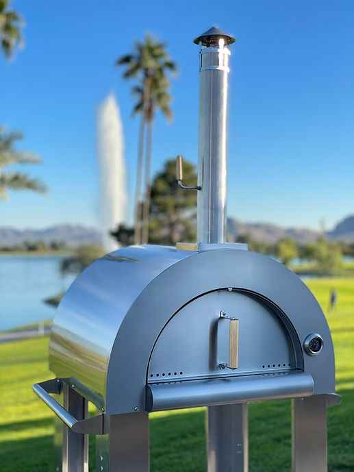 Outdoor pizza oven with a scenic background featuring palm trees and a lake.